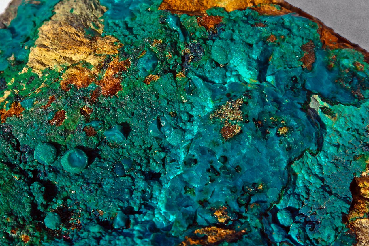 Chrysocolle