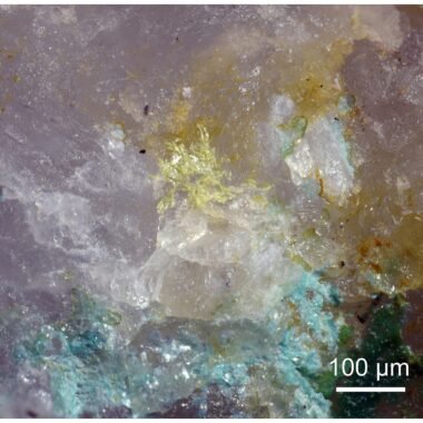 delchiaroite — spécimen minéral