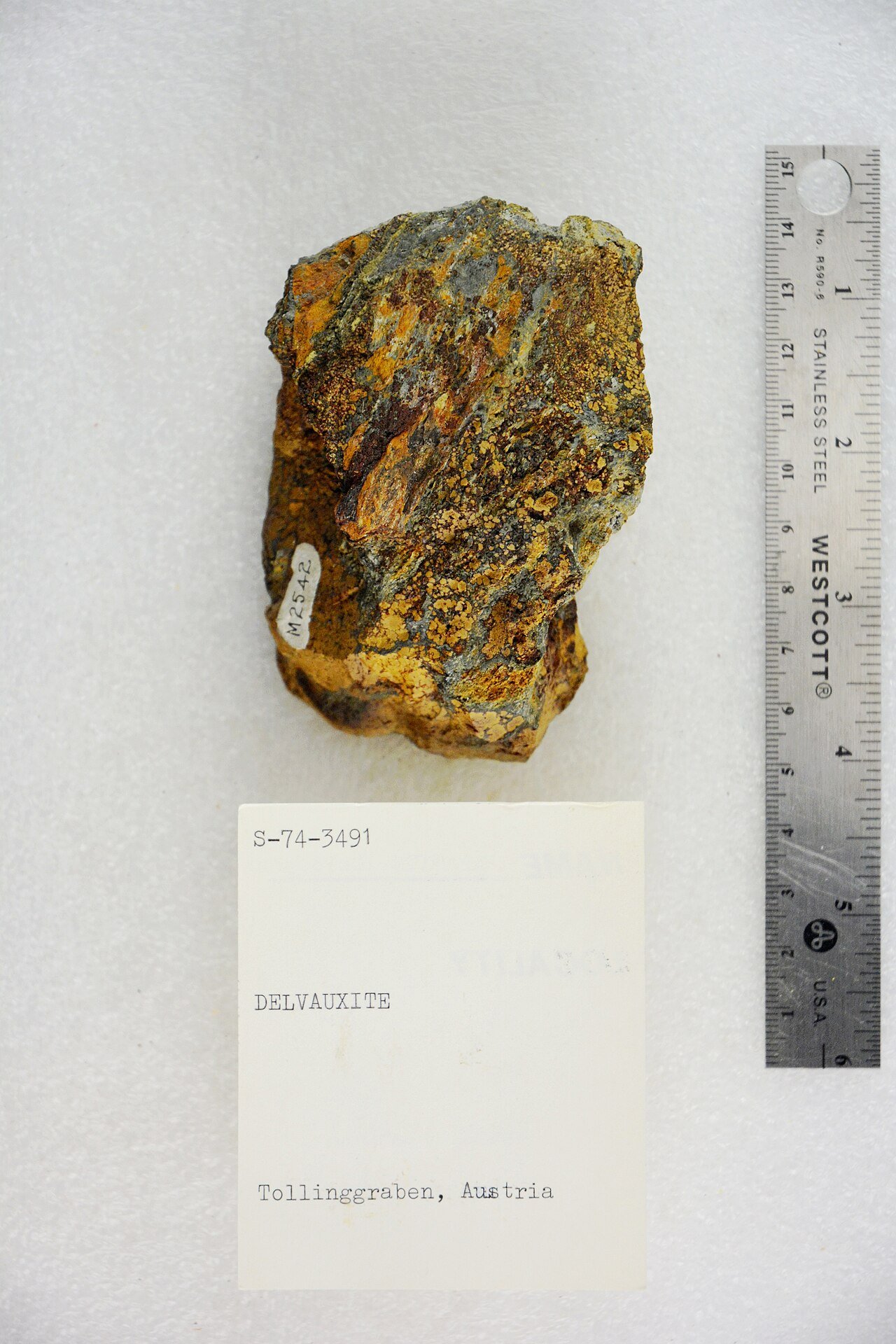 Delvauxite