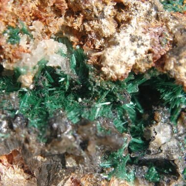 Malachite — spécimen minéral