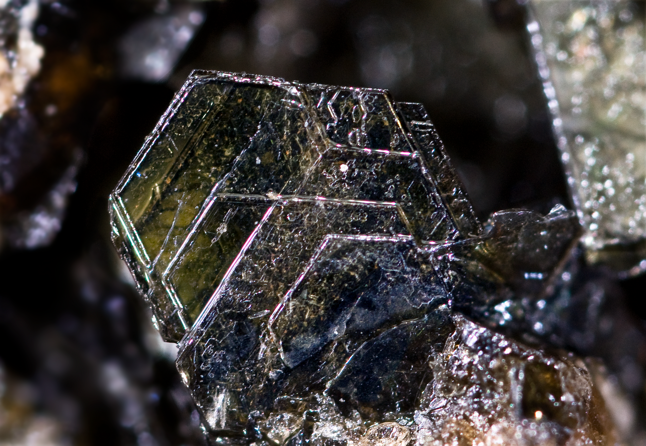 Biotite