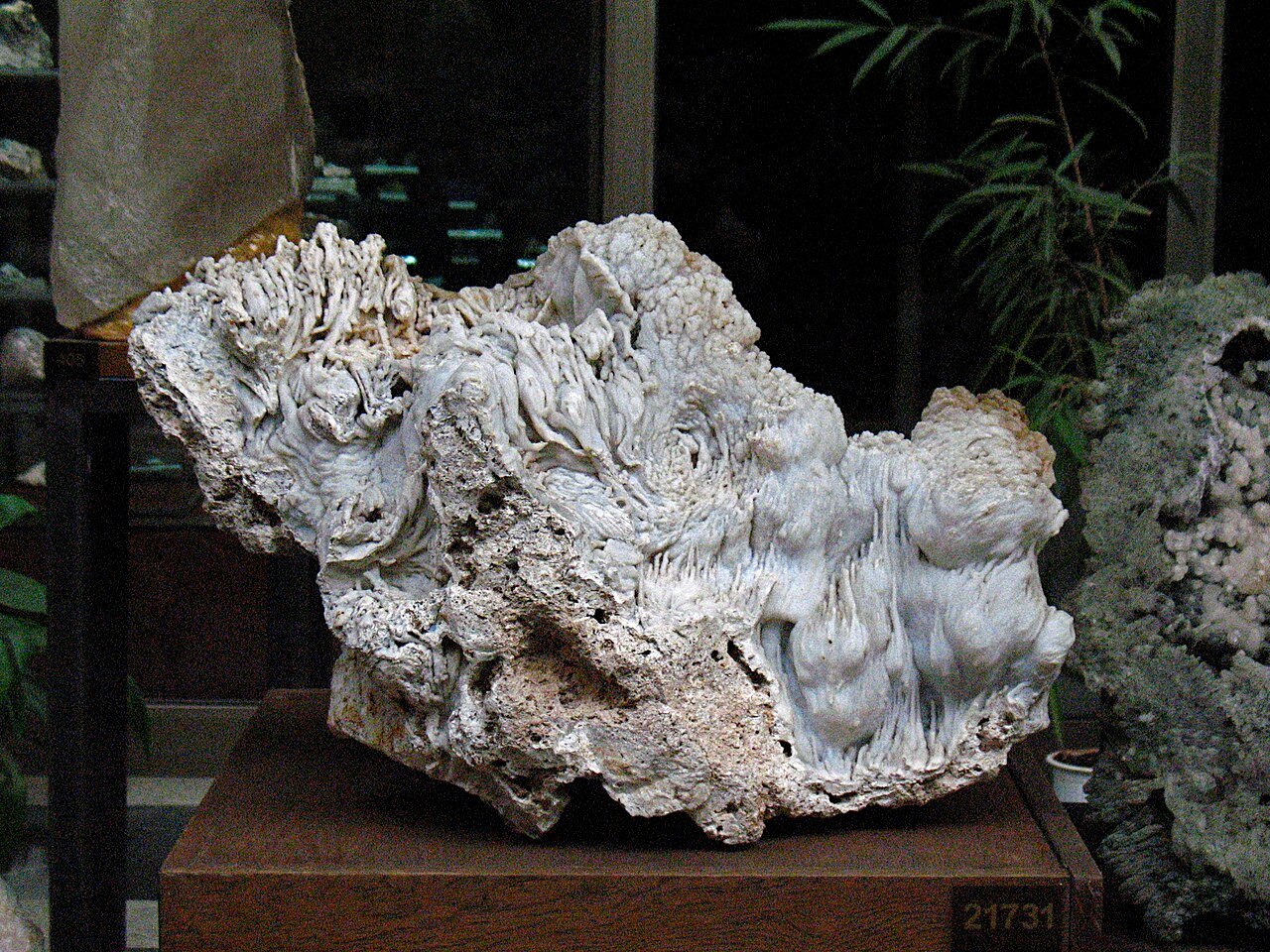 Calcédoine