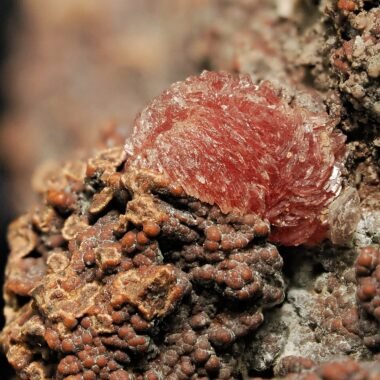 Sarkinite — spécimen minéral
