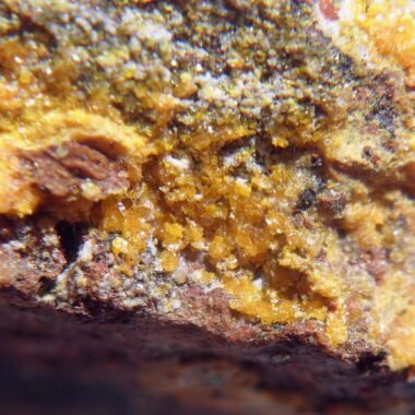 Seeligerite — spécimen minéral