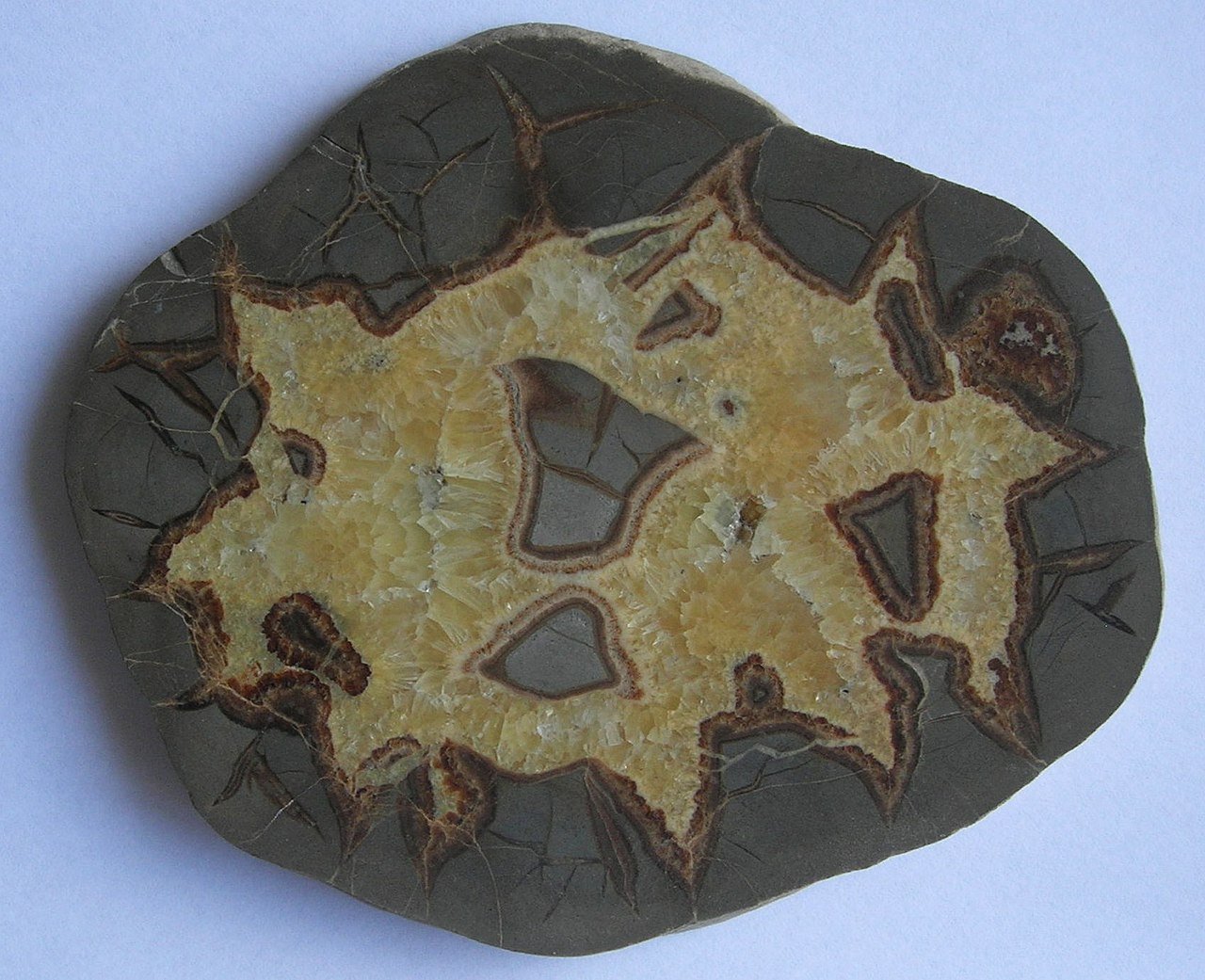 Septaria