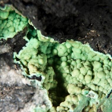 Variscite — spécimen minéral