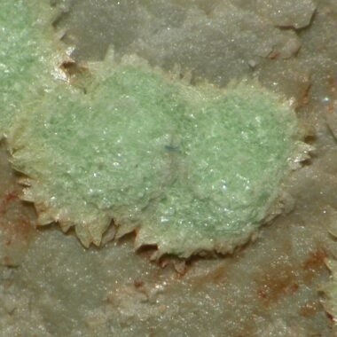 abernathyite — spécimen minéral
