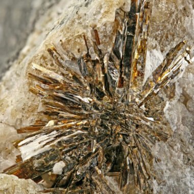Astrophyllite — spécimen minéral