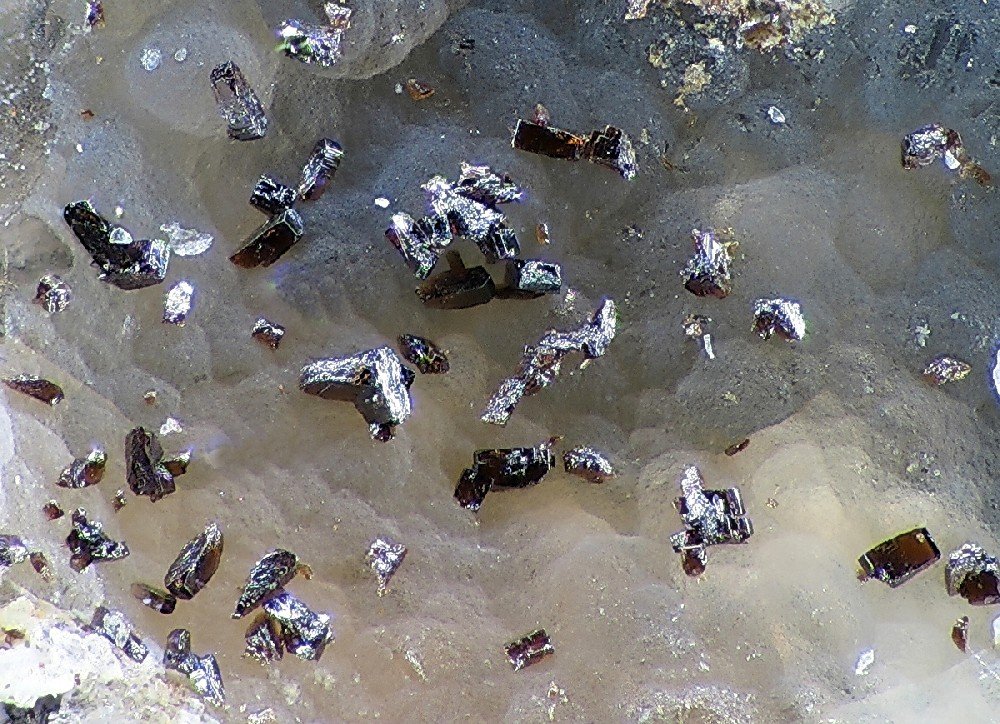 Brendelite