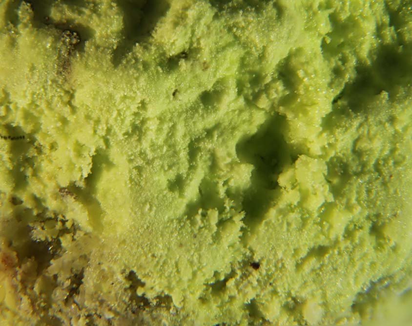 Cadwaladerite