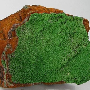 Conichalcite — spécimen minéral