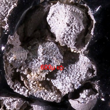 Cristobalite — spécimen minéral