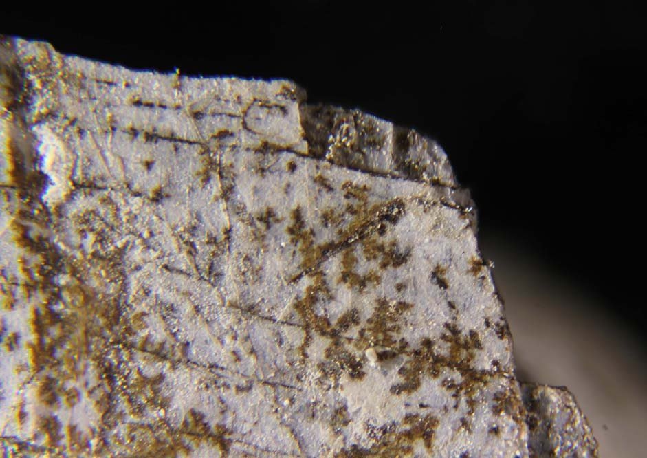 Gerasimovskite