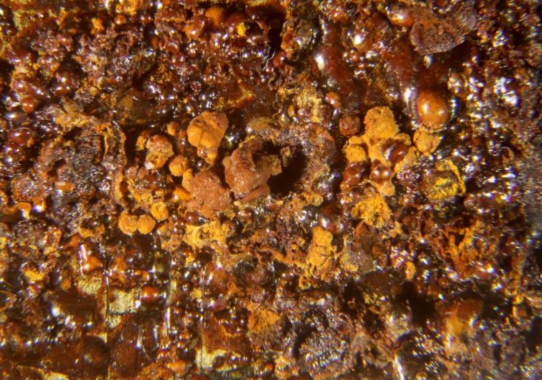 Haxonite