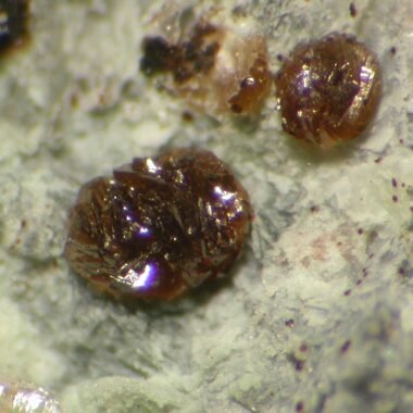 hechtsbergite — spécimen minéral