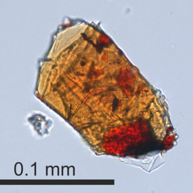 Kahlenbergite — spécimen minéral