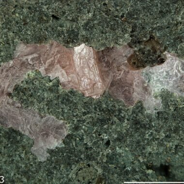 Lanthanite-(Nd) — spécimen minéral