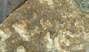 Hydroxyapatite — spécimen minéral