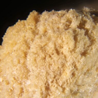 Phosphammite — spécimen minéral